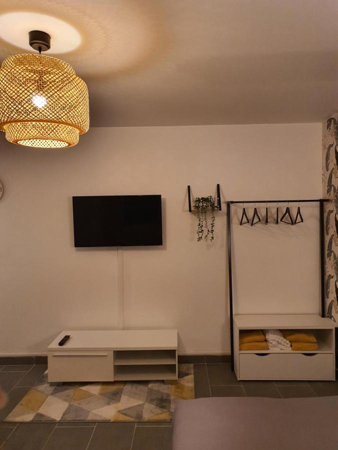 Cocooningspace Tout Equipe + Parking Prive Мюлуз Экстерьер фото